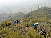 P1190011.JPG (254697 bytes)