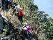 P1260044.JPG (392363 bytes)
