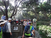 P2020010.JPG (309603 bytes)
