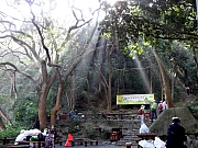P2020017.JPG (292857 bytes)