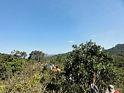 P2020062.JPG (246683 bytes)
