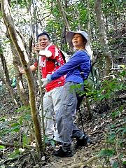 P2020065.JPG (291376 bytes)