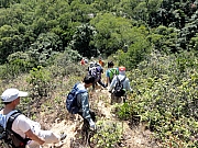 P2020067.JPG (435970 bytes)