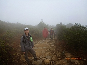 pic_Wai_016.JPG (96056 bytes)