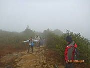 pic_Wai_018.JPG (95968 bytes)
