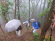 pic_Wai_029.JPG (217313 bytes)