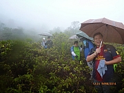 pic_Wai_060.JPG (134469 bytes)