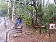pic_Wai_062.JPG (326641 bytes)
