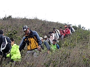 P2160042.JPG (249687 bytes)