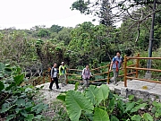 P3020002.JPG (323877 bytes)