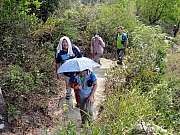 P3020010.JPG (403643 bytes)