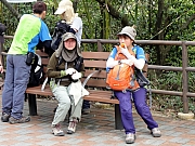 P3020021.JPG (270915 bytes)