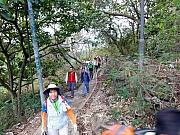 P3090004.JPG (345619 bytes)