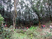 P3090010.JPG (425482 bytes)