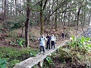 P3090011.JPG (392744 bytes)