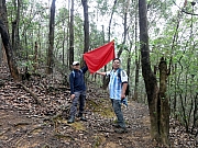 P3090017.JPG (387053 bytes)