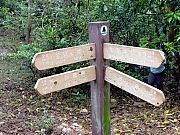 P3090035.JPG (351704 bytes)