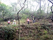 P3090036.JPG (319638 bytes)