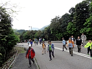 P3160007.JPG (251312 bytes)