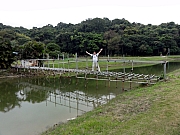 P3160068.JPG (221795 bytes)