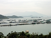 P3160078.JPG (145435 bytes)