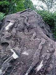 P6110076.jpg (297980 bytes)