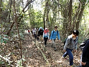 P3230006.JPG (396750 bytes)