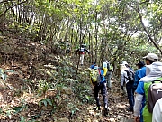 P3230007.JPG (412713 bytes)