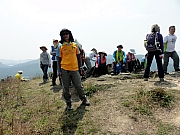 P3230026.JPG (248925 bytes)