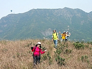 P3230041.JPG (253347 bytes)