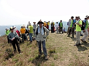 P3230045.JPG (255077 bytes)