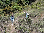 P3230064.JPG (436964 bytes)