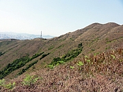 P3230069.JPG (277099 bytes)