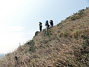 P3230075.JPG (274639 bytes)