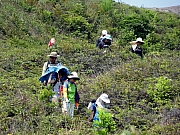 P3230084.JPG (388368 bytes)