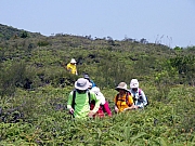 P3230089.JPG (280723 bytes)