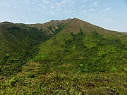 P3230091.JPG (291288 bytes)
