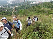 P3300008.JPG (336829 bytes)