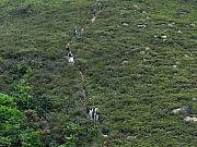 P3300019.JPG (326644 bytes)