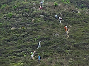 P3300023.JPG (290897 bytes)
