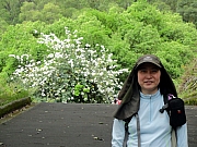 P3300054.JPG (249392 bytes)
