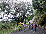 P3300058.JPG (393919 bytes)