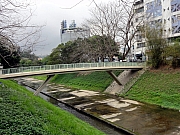 P3300080.JPG (302246 bytes)