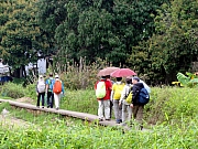 P4060035.JPG (299483 bytes)