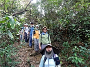 P4130005.JPG (394155 bytes)