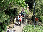 P4130013.JPG (406691 bytes)