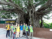 P4200031.JPG (330494 bytes)