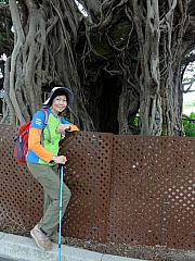 P4200033.JPG (243578 bytes)