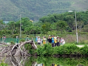 P4200034.JPG (284576 bytes)