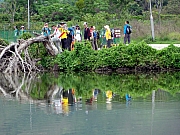 P4200035.JPG (282877 bytes)